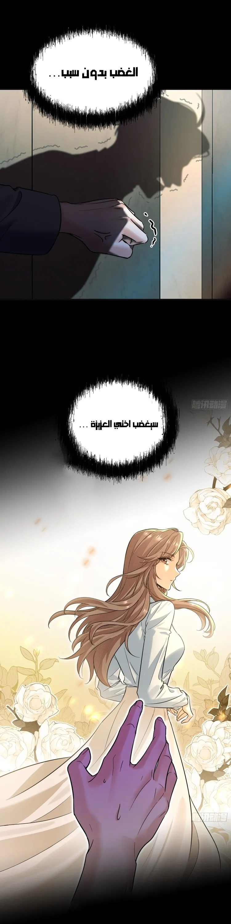 الصفحة 17
