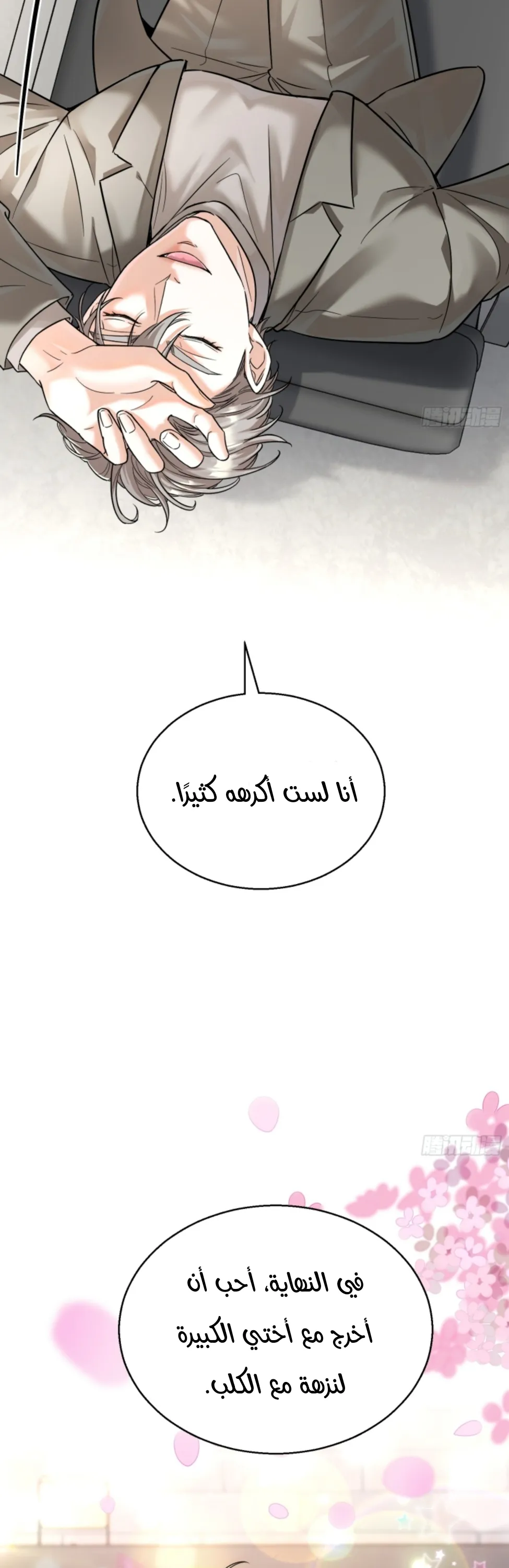 الصفحة 41