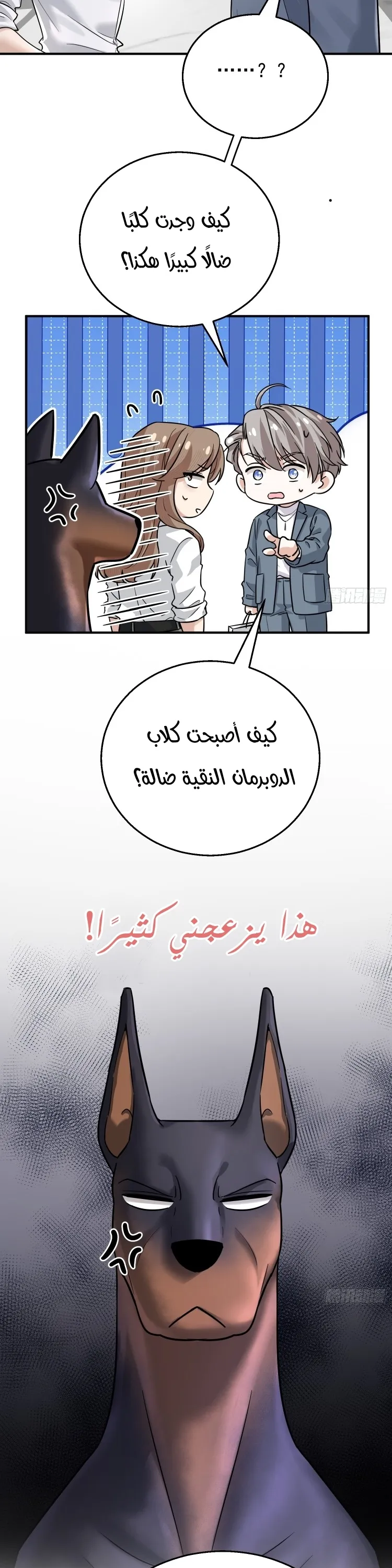 الصفحة 8