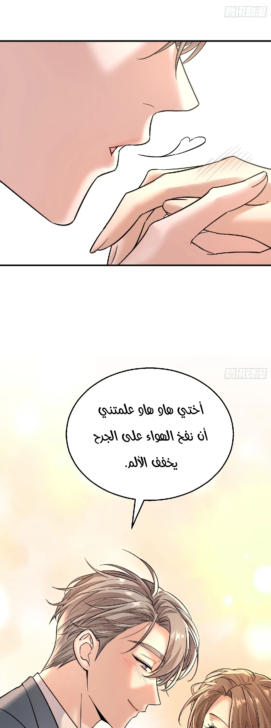 الصفحة 17