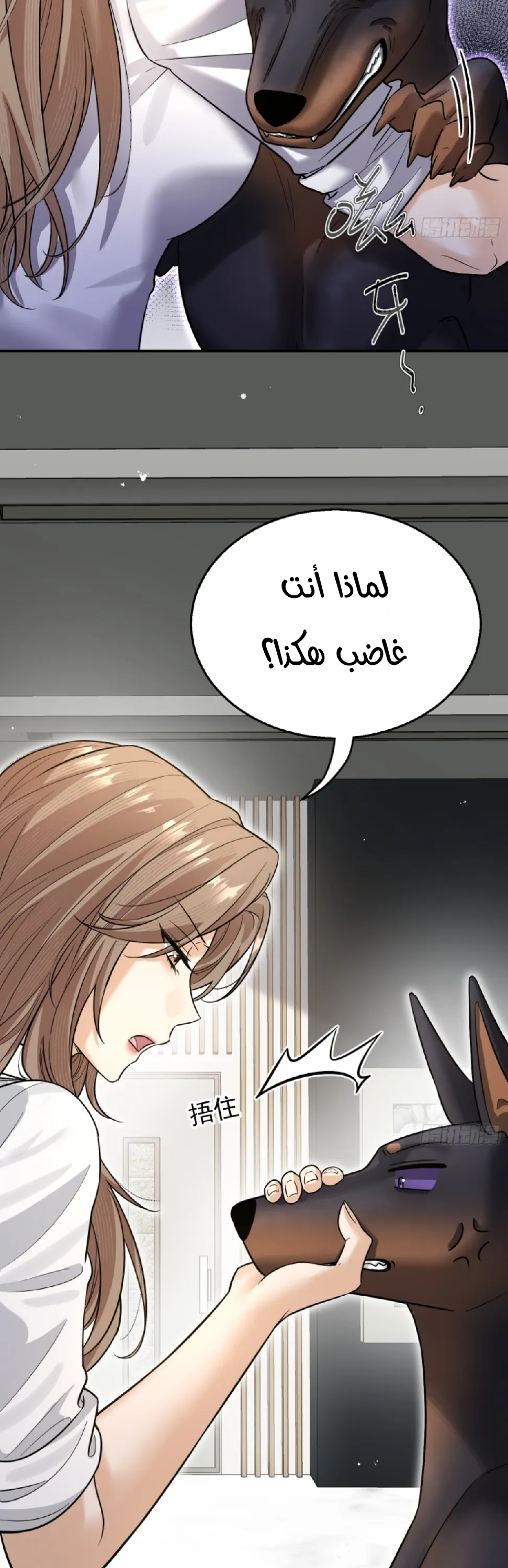 الصفحة 25