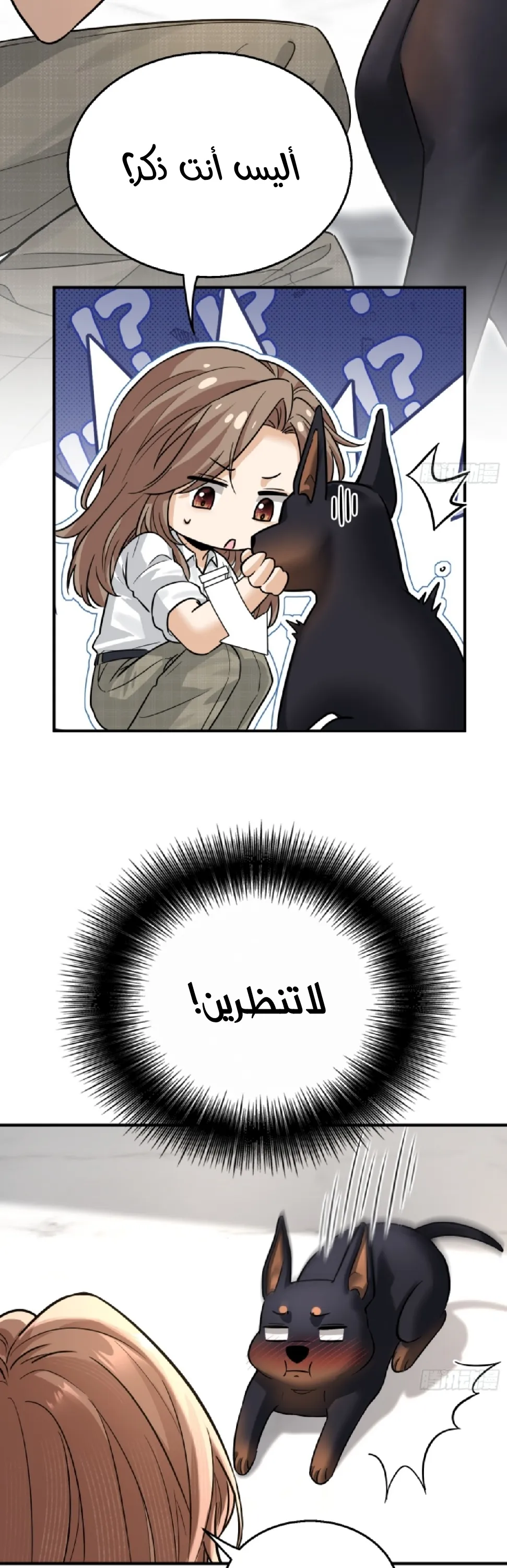 الصفحة 26