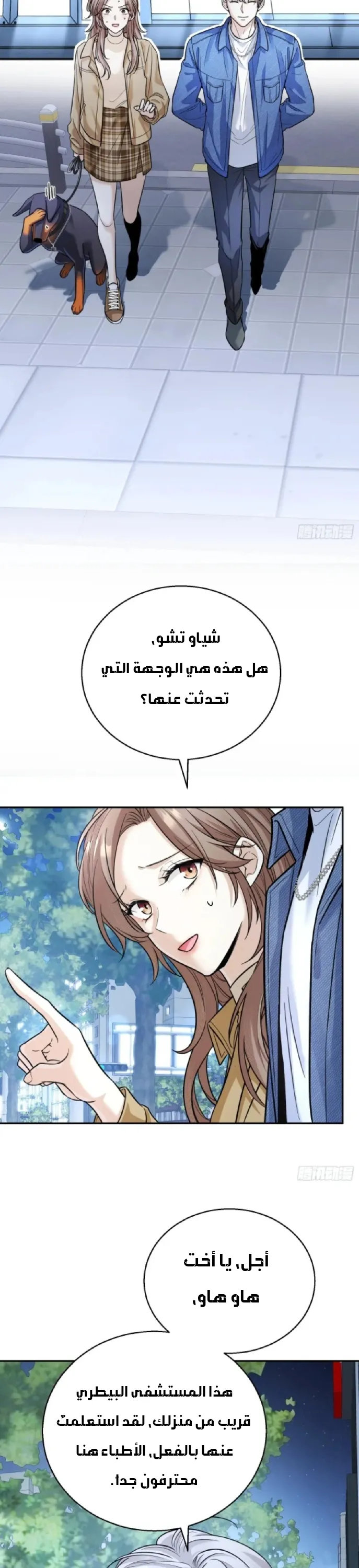 الصفحة 3