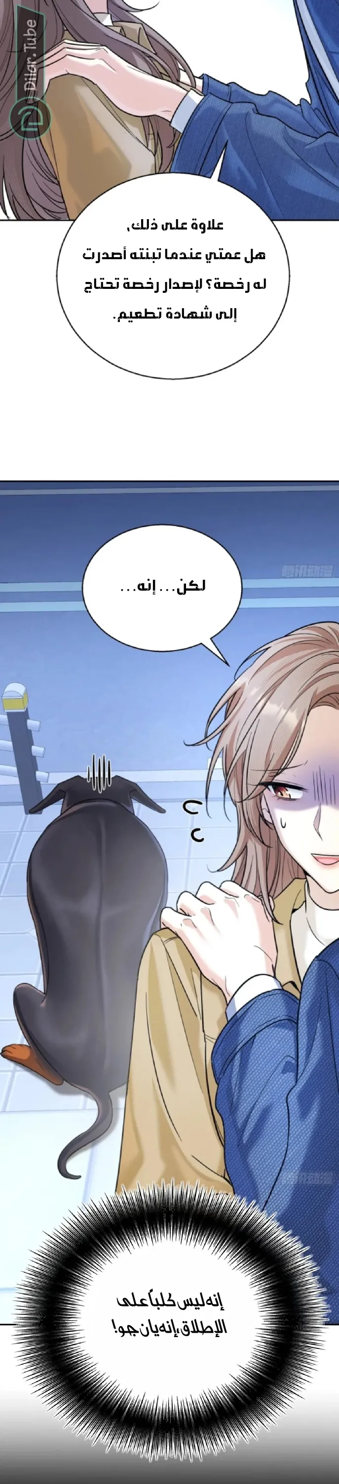 الصفحة 5