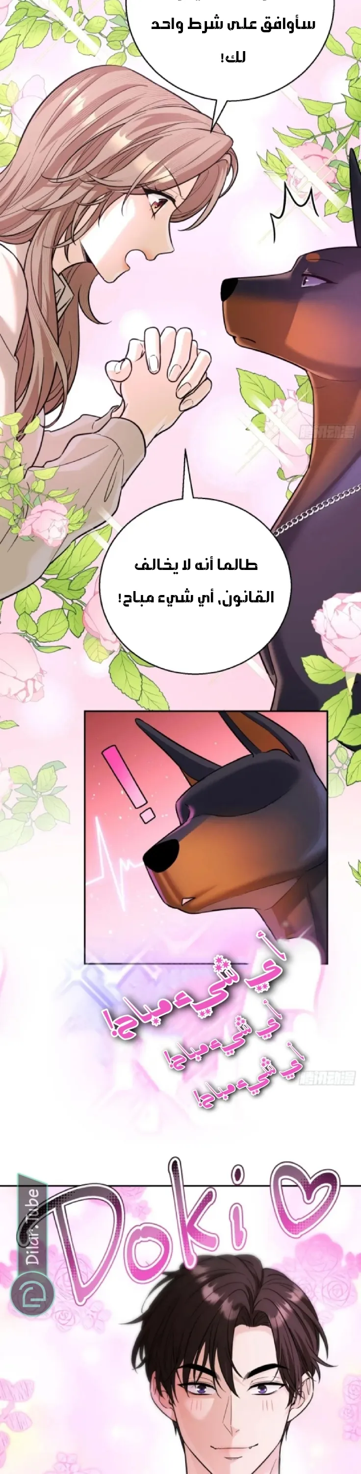 الصفحة 11