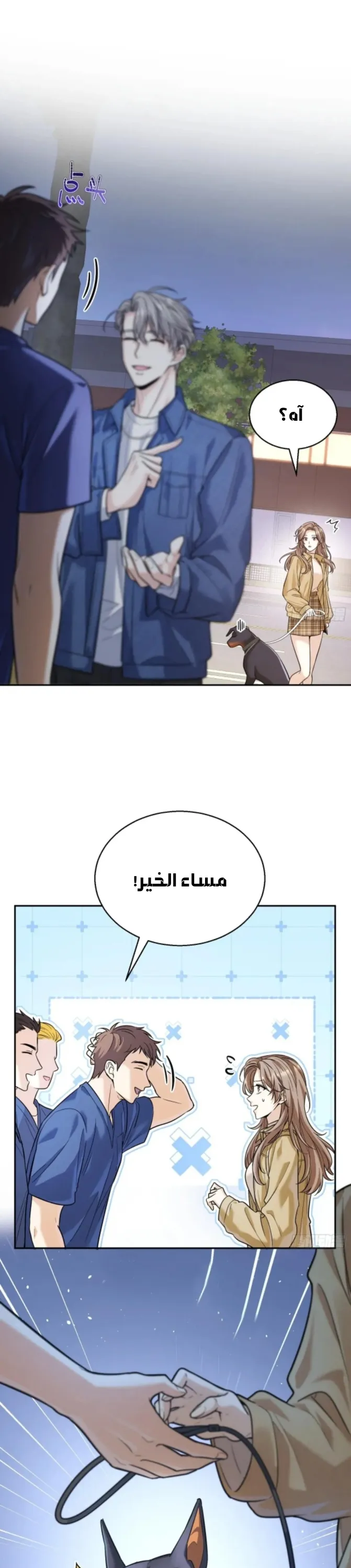 الصفحة 15