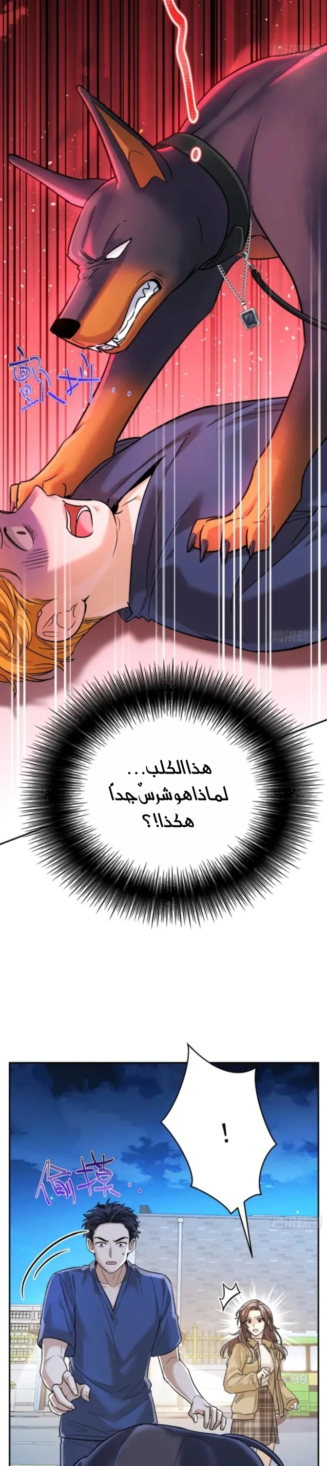 الصفحة 20