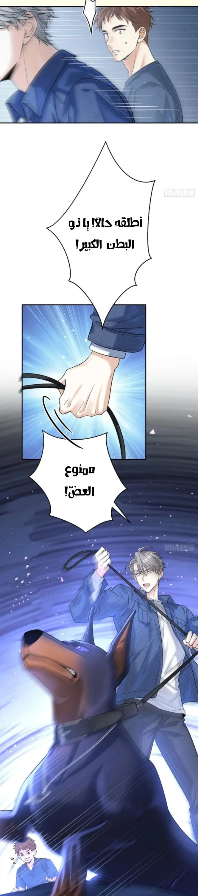 الصفحة 24