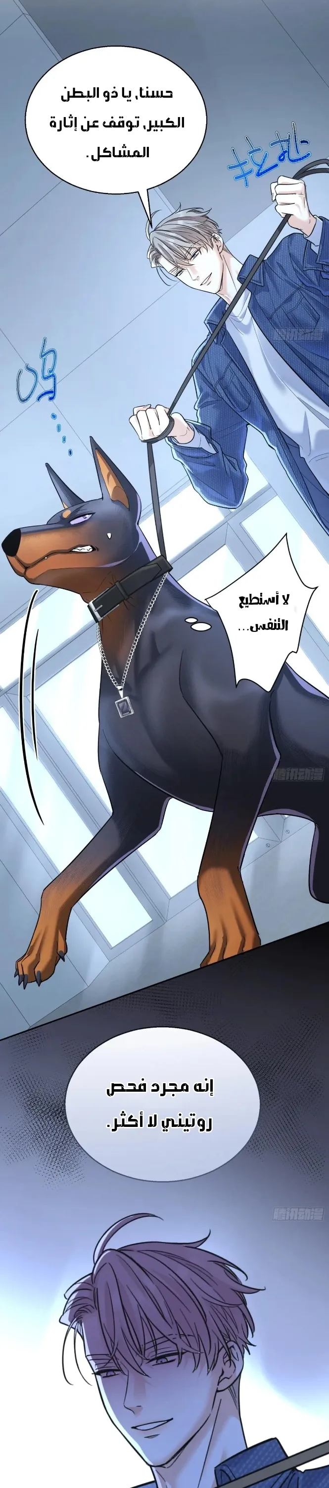 الصفحة 27