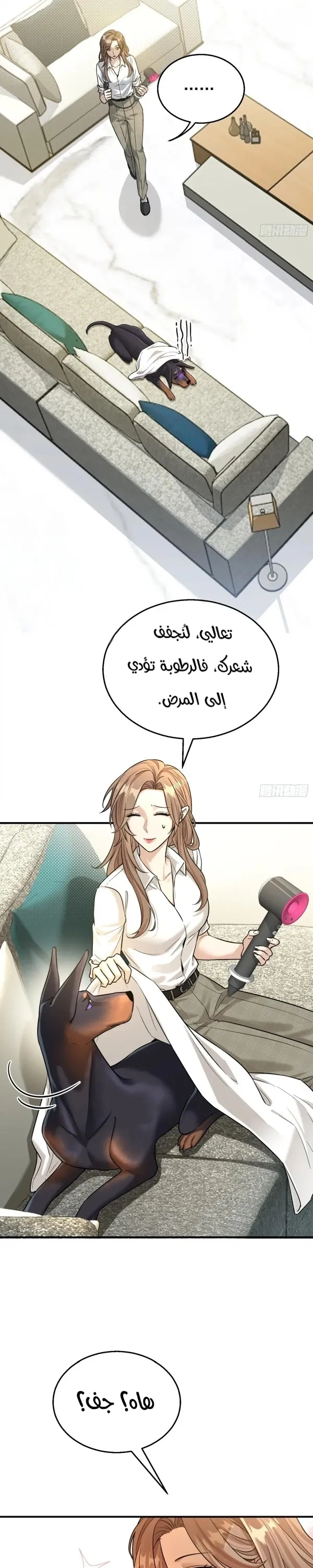 الصفحة 6