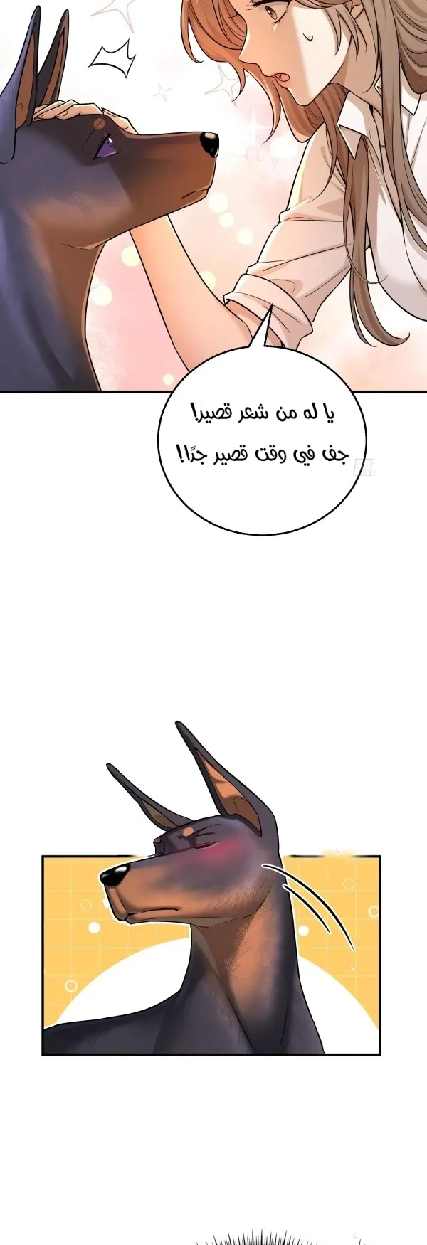 الصفحة 7