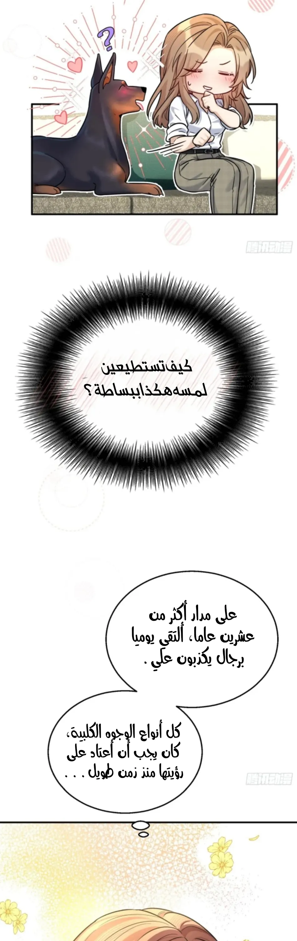 الصفحة 13