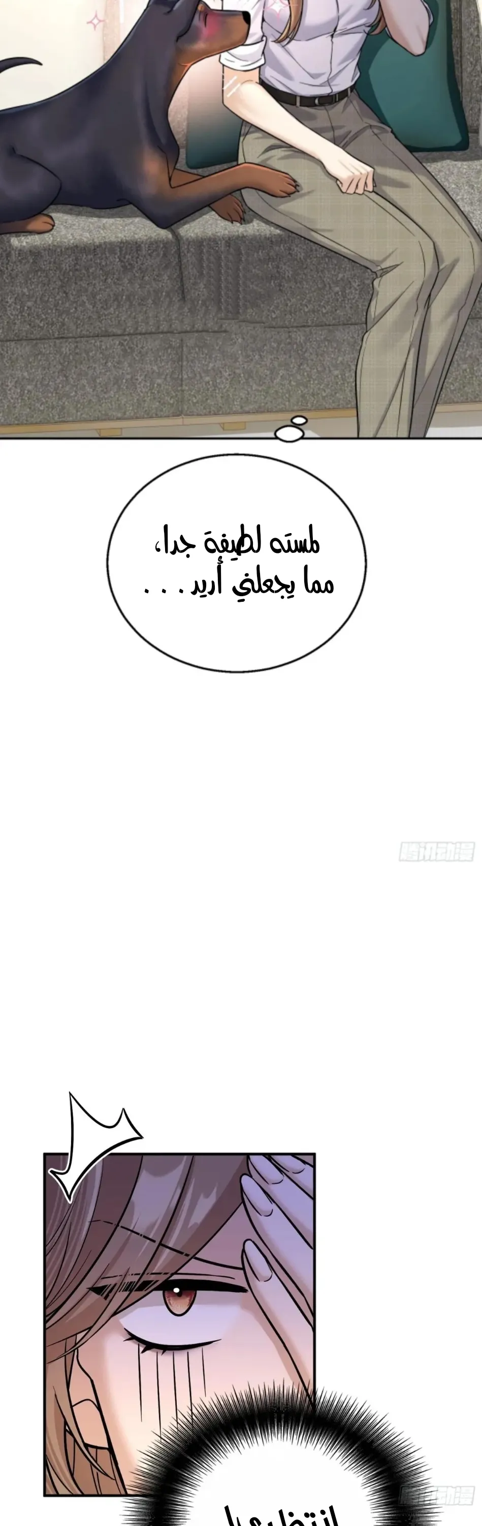 الصفحة 15