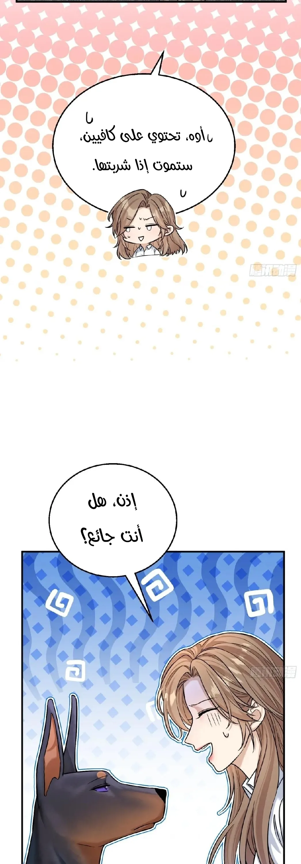 الصفحة 19