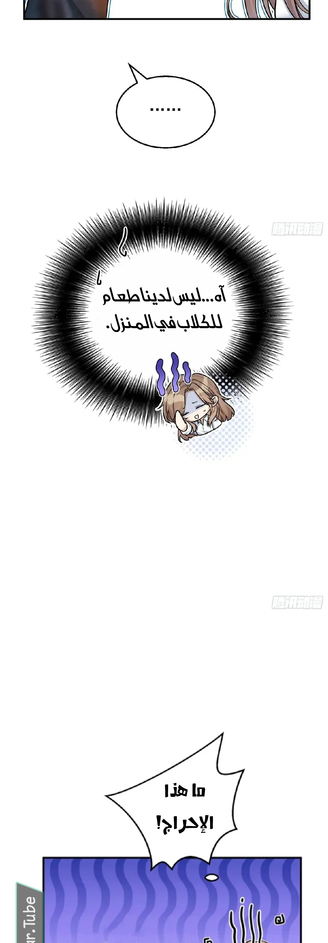 الصفحة 20