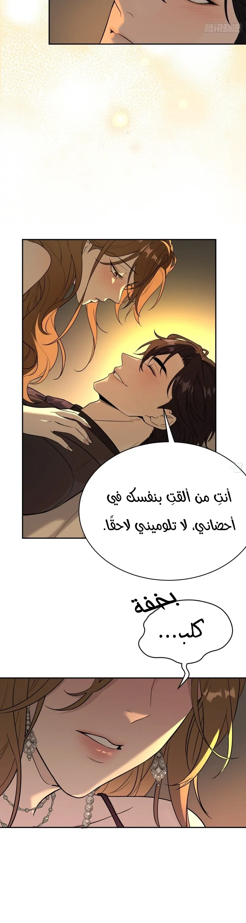 الصفحة 14