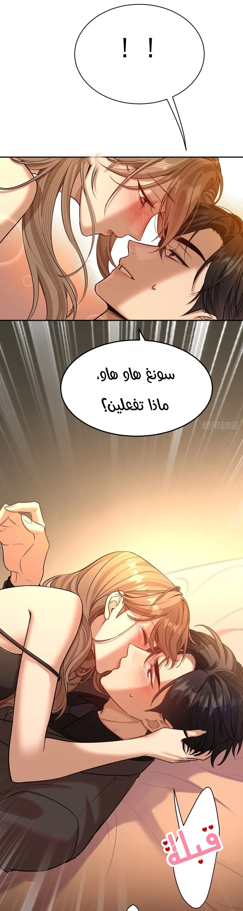 الصفحة 17
