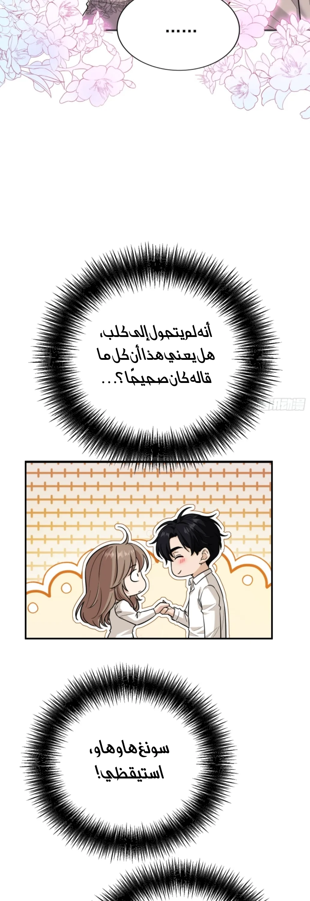 الصفحة 5