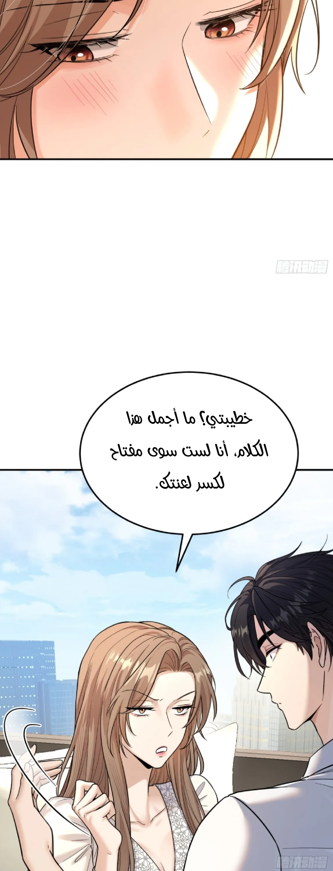 الصفحة 27