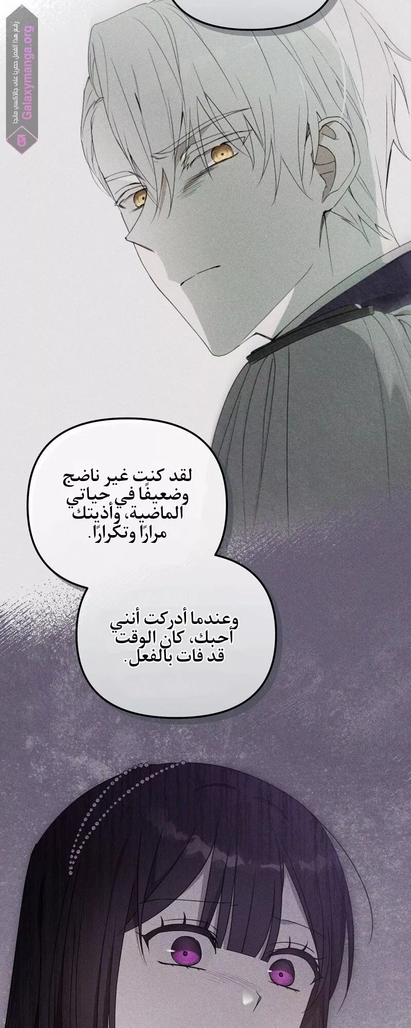 الصفحة 17