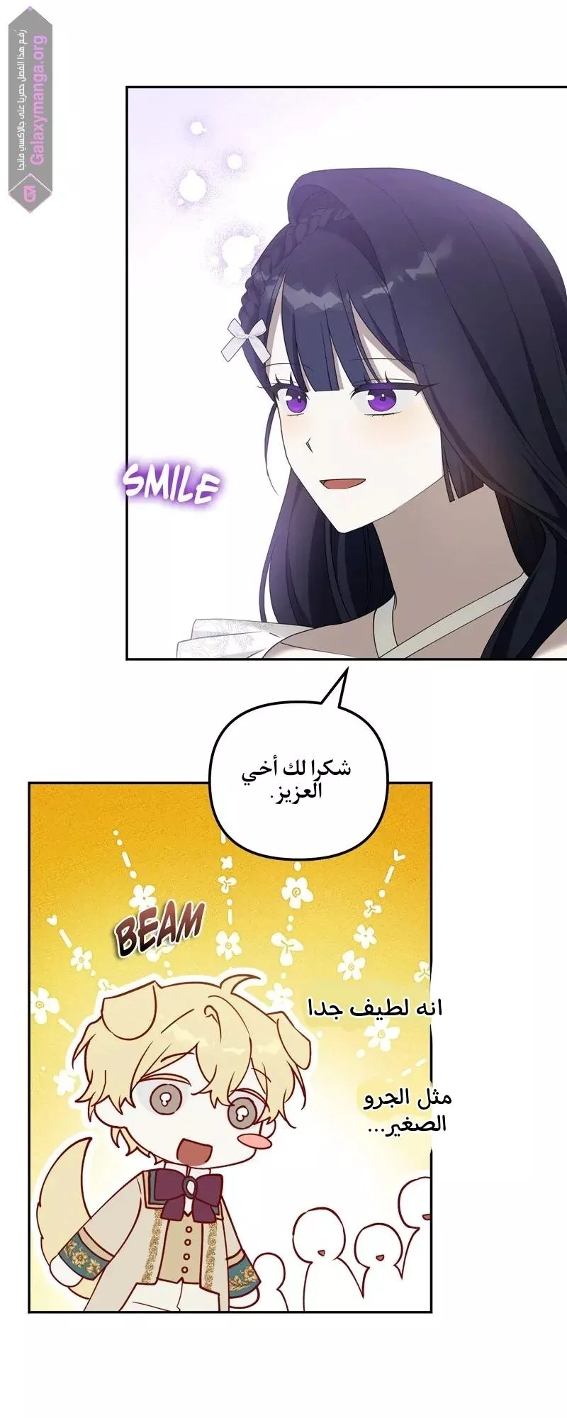 الصفحة 8