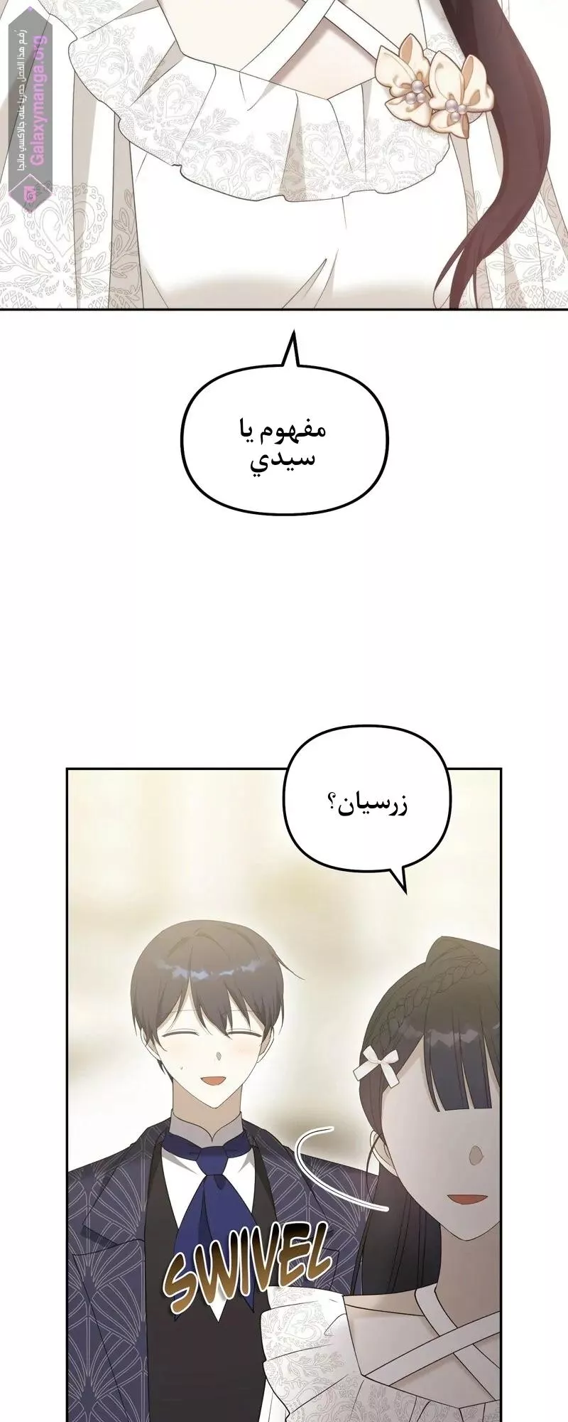 الصفحة 17