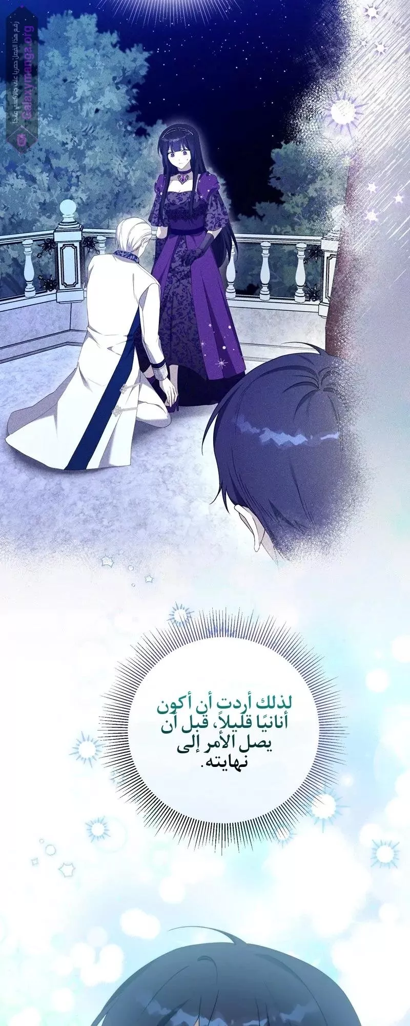 الصفحة 25