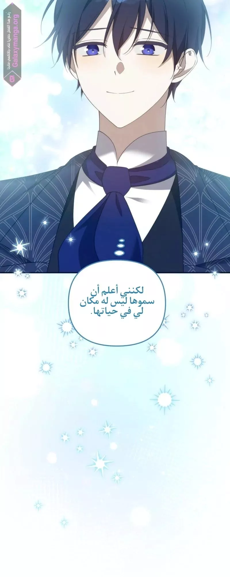 الصفحة 26
