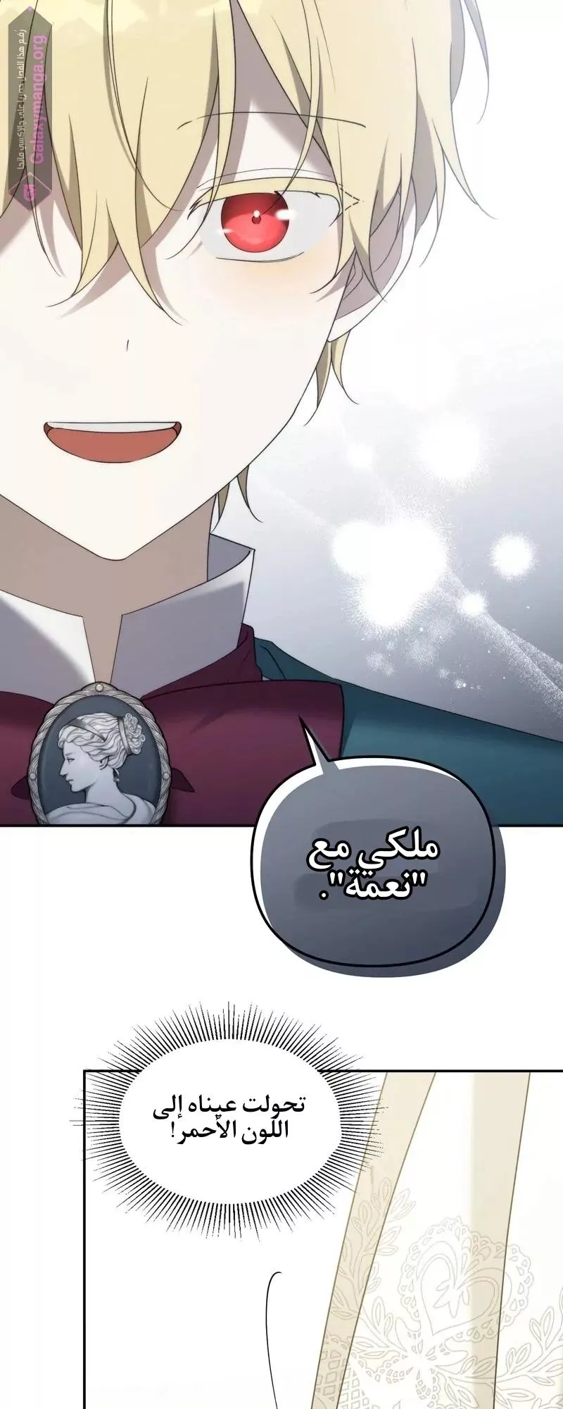 الصفحة 46