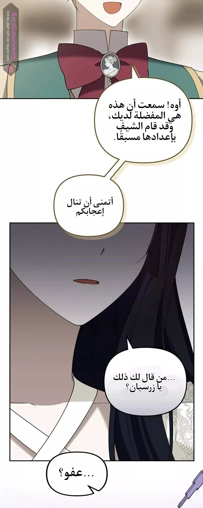 الصفحة 12