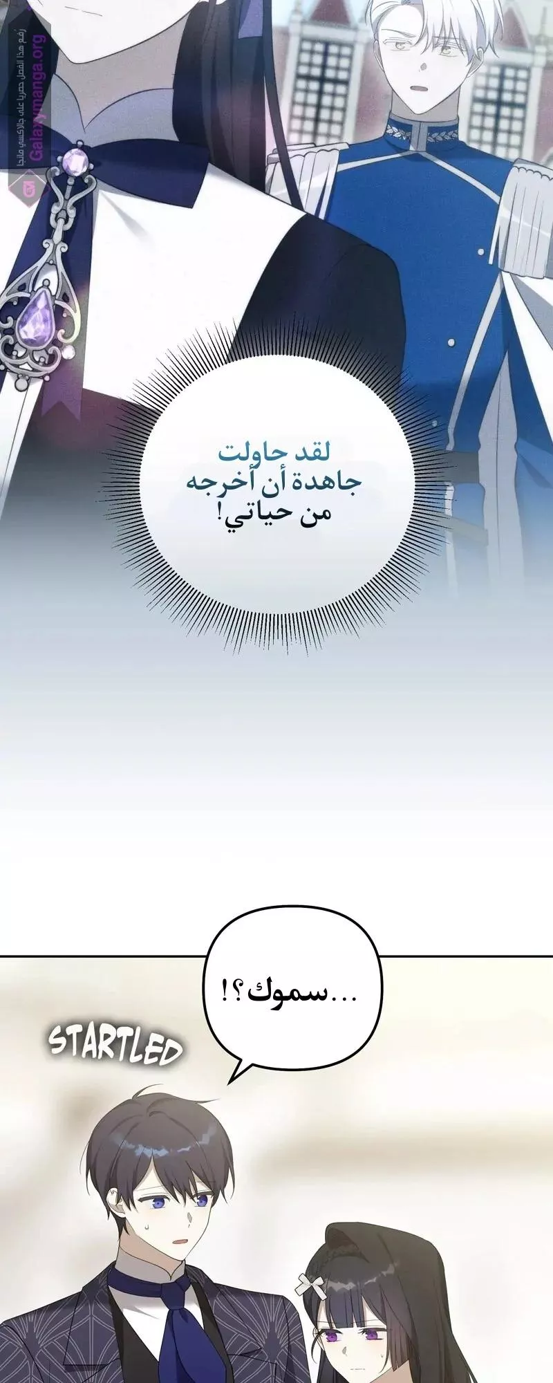 الصفحة 19