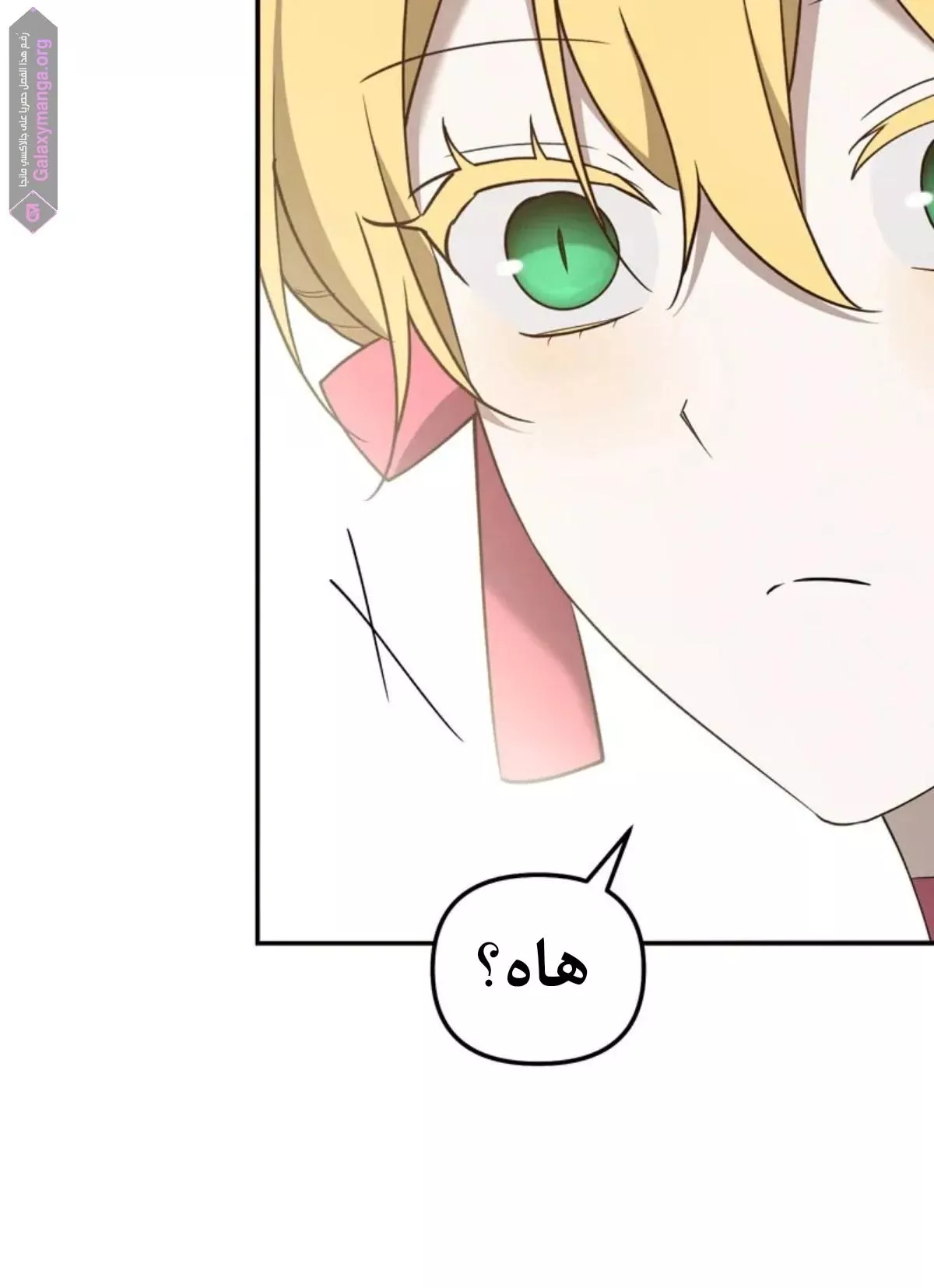 الصفحة 24