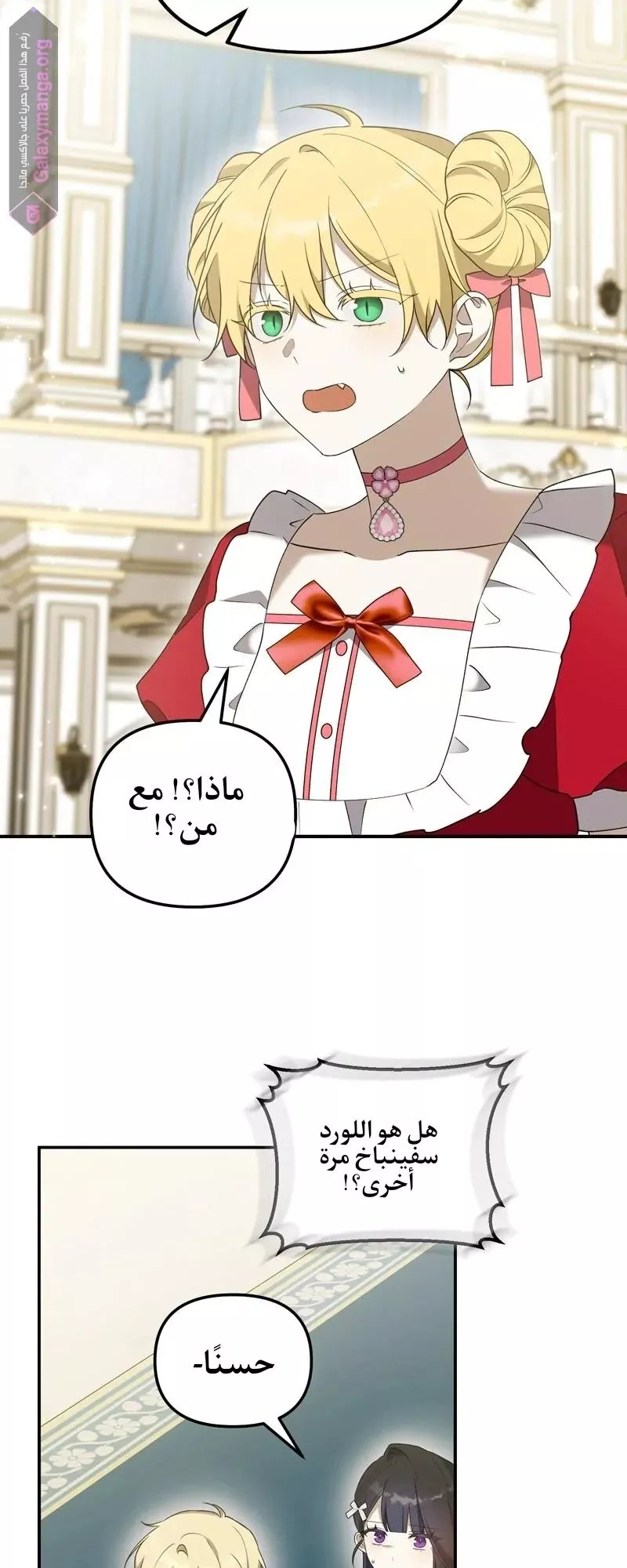 الصفحة 29