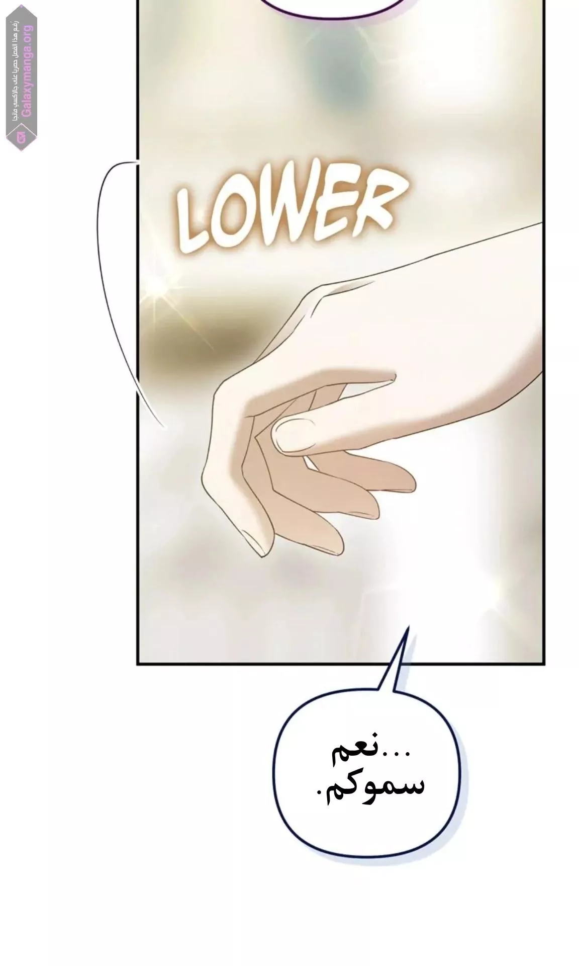 الصفحة 38