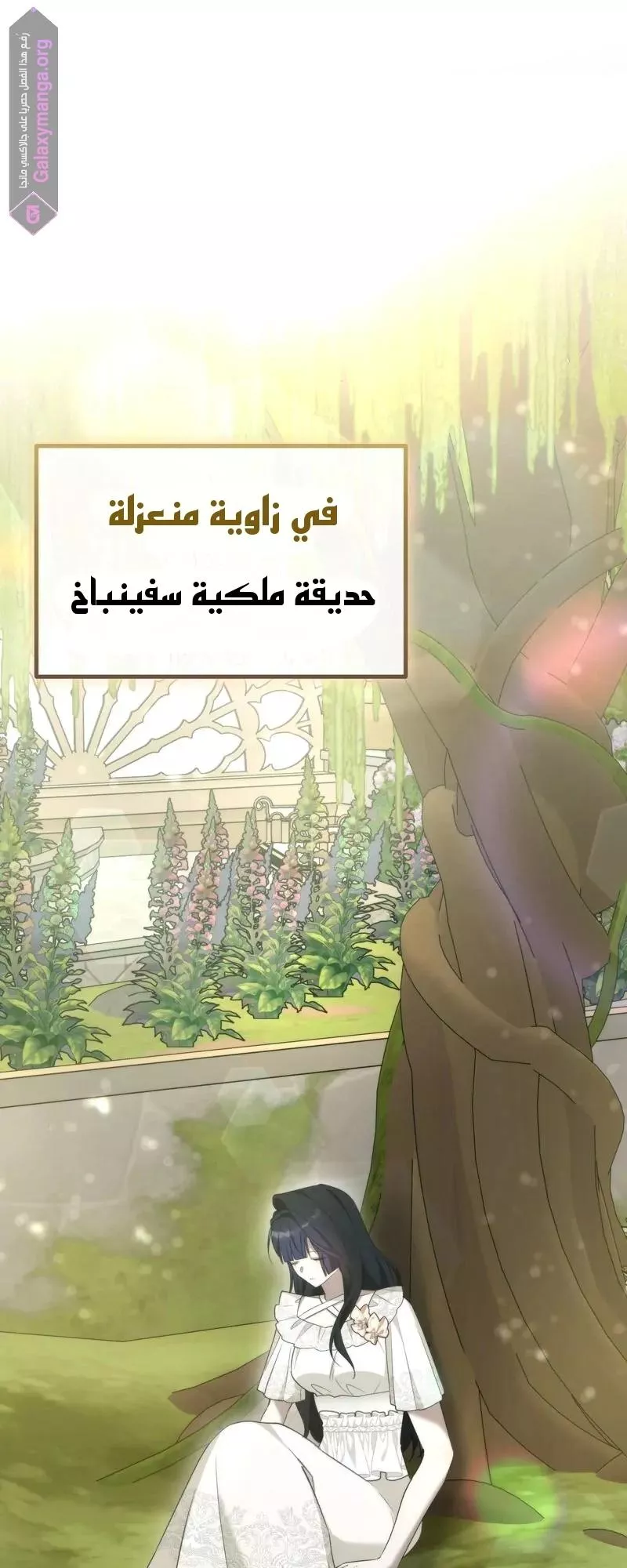 الصفحة 53
