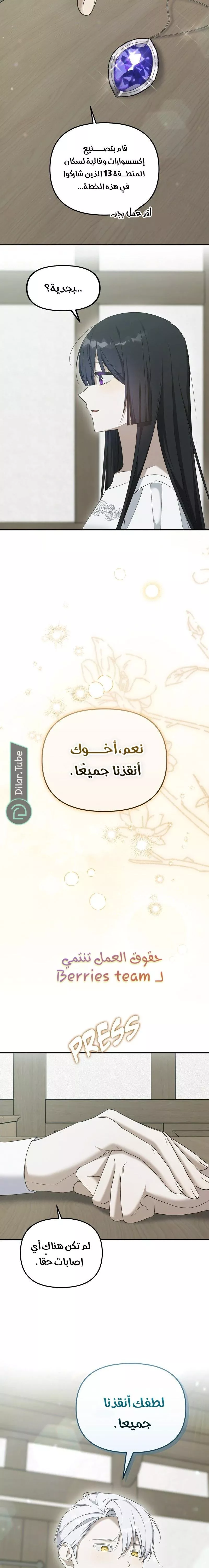 الصفحة 13