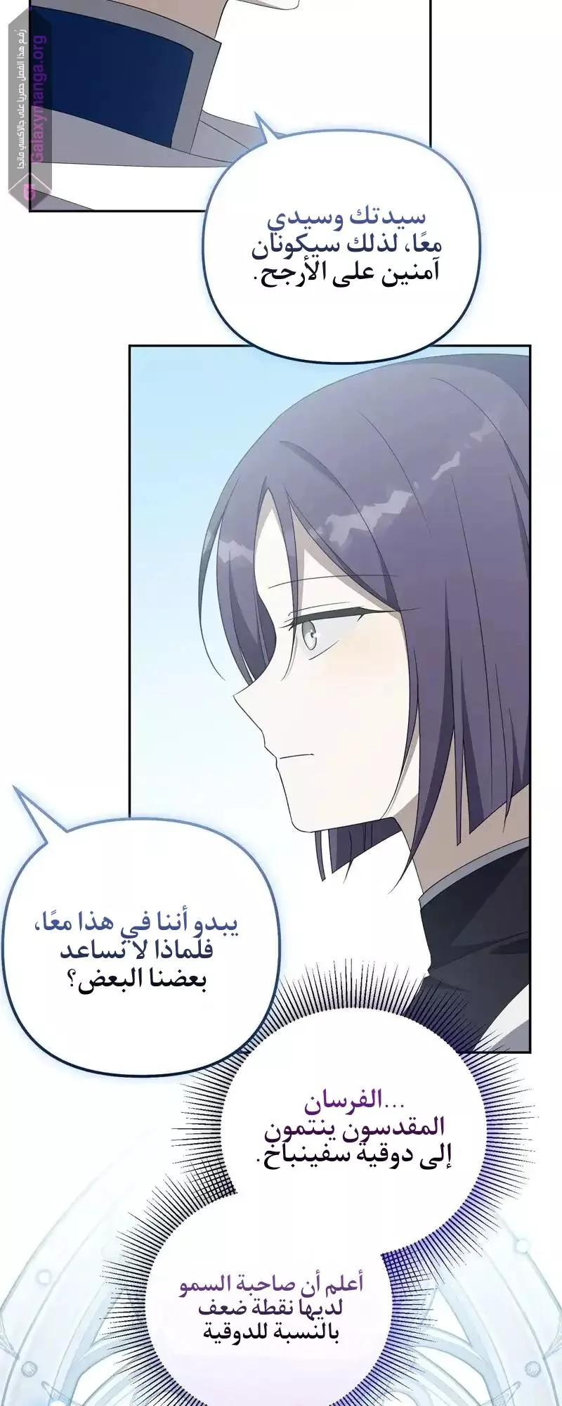 الصفحة 13