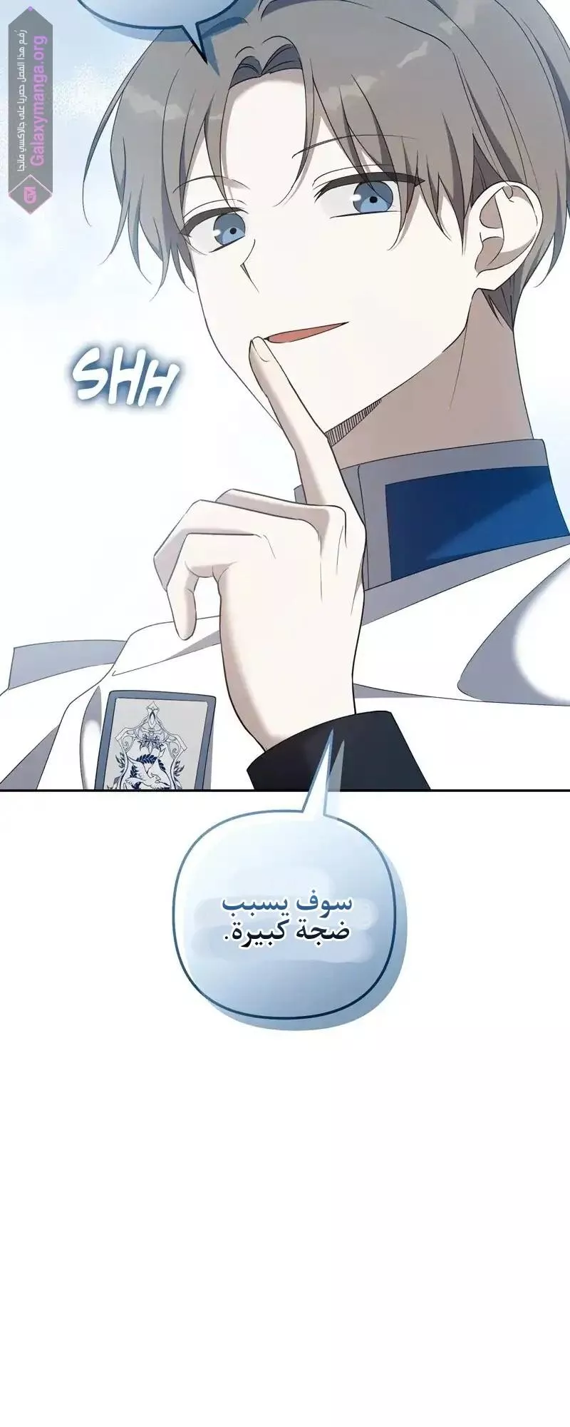 الصفحة 16