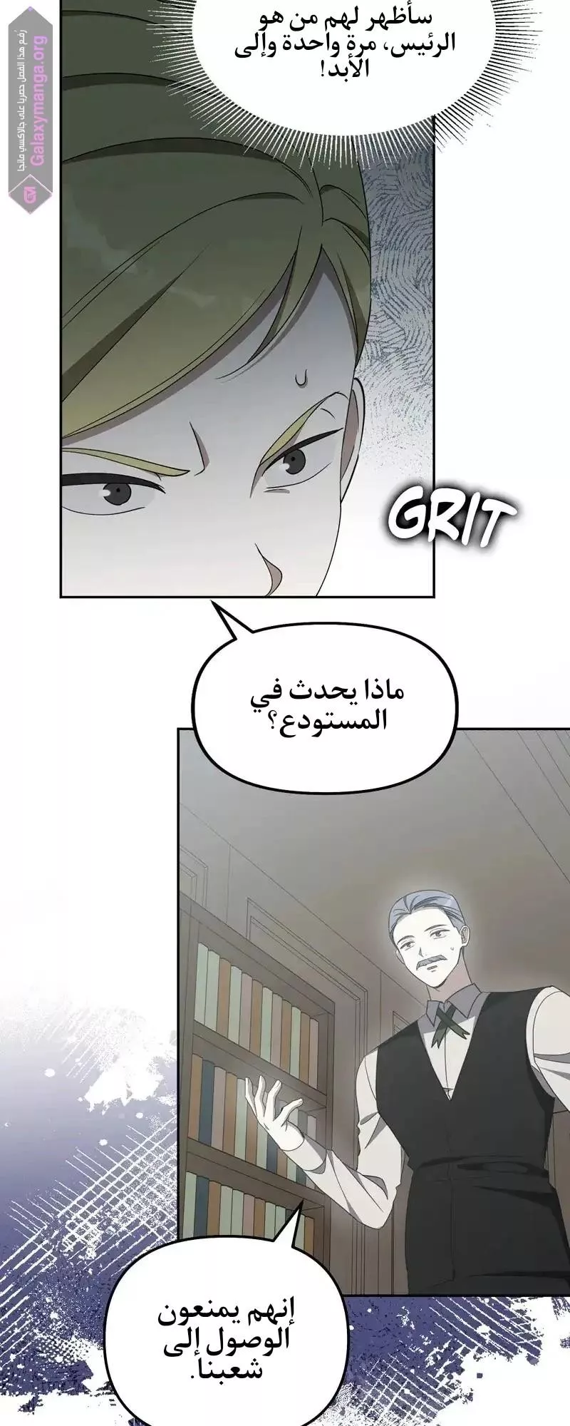 الصفحة 25