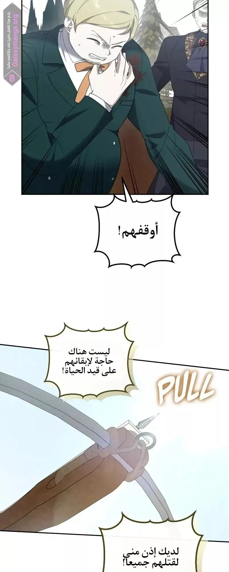 الصفحة 40