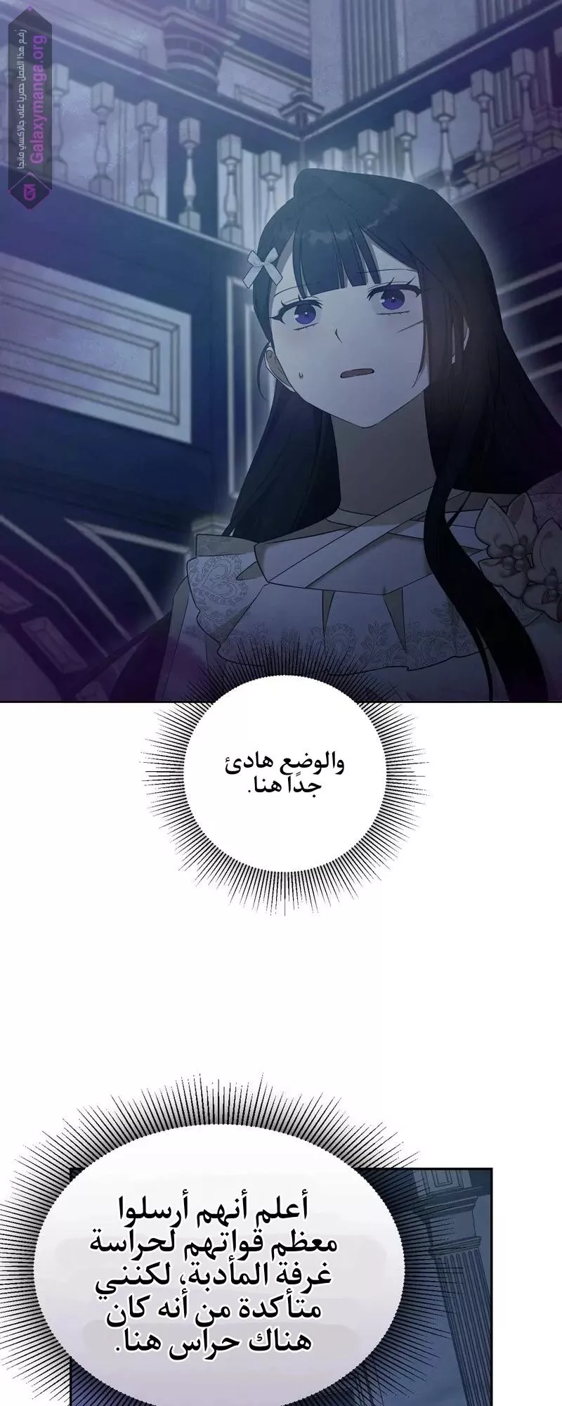 الصفحة 25