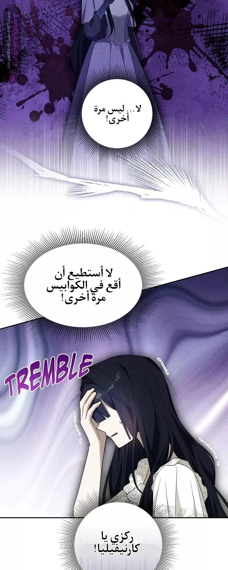 الصفحة 27