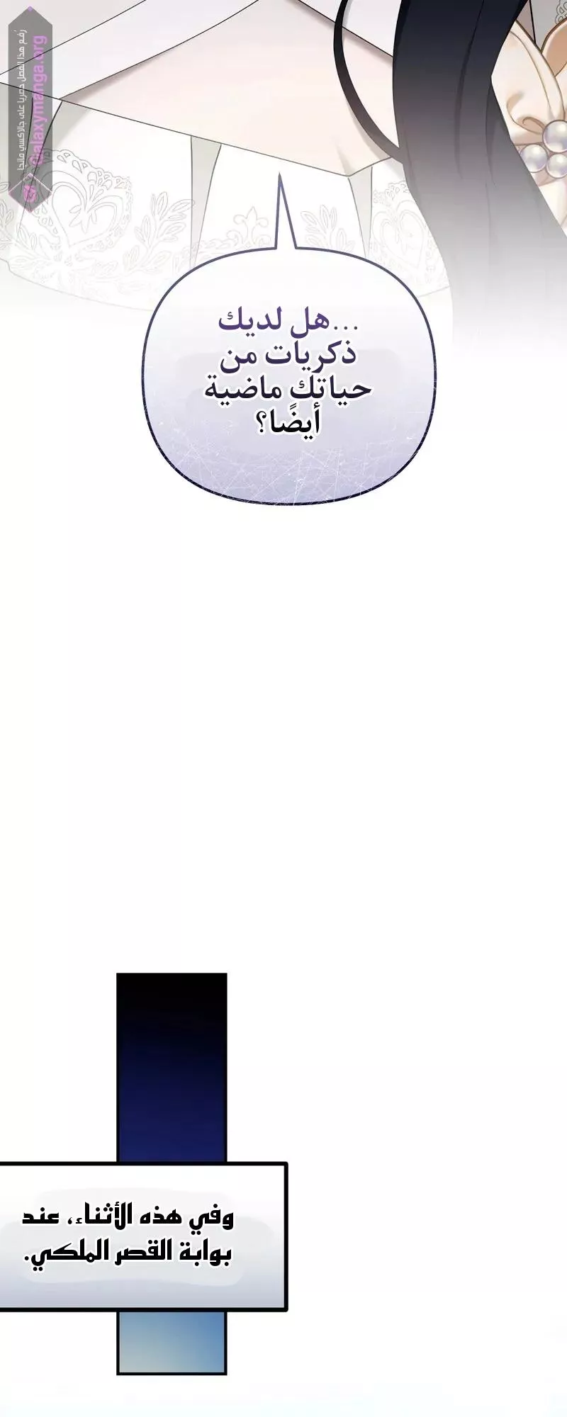 الصفحة 46