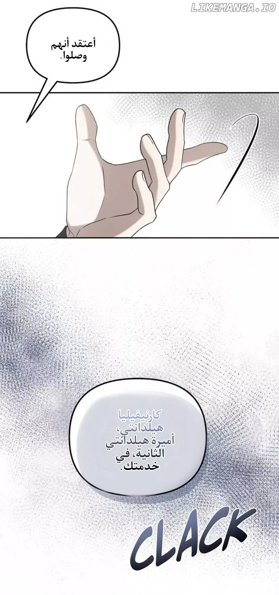 الصفحة 14