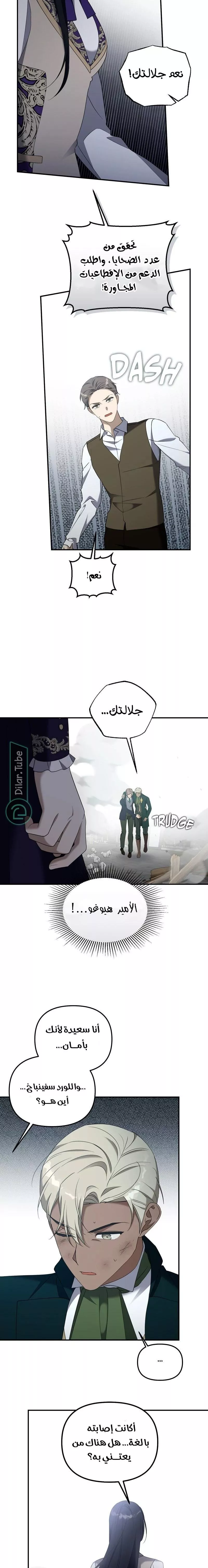 الصفحة 17