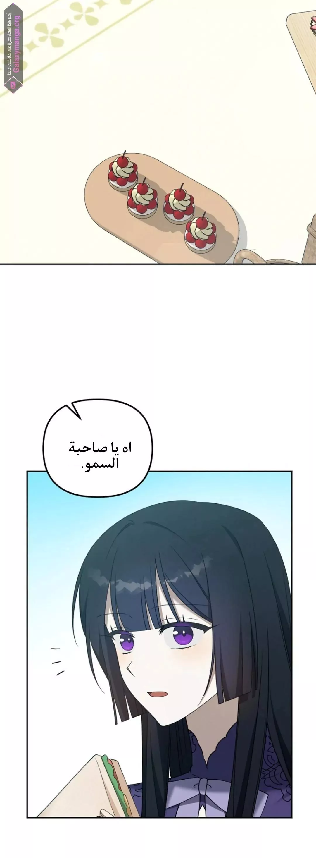 الصفحة 17