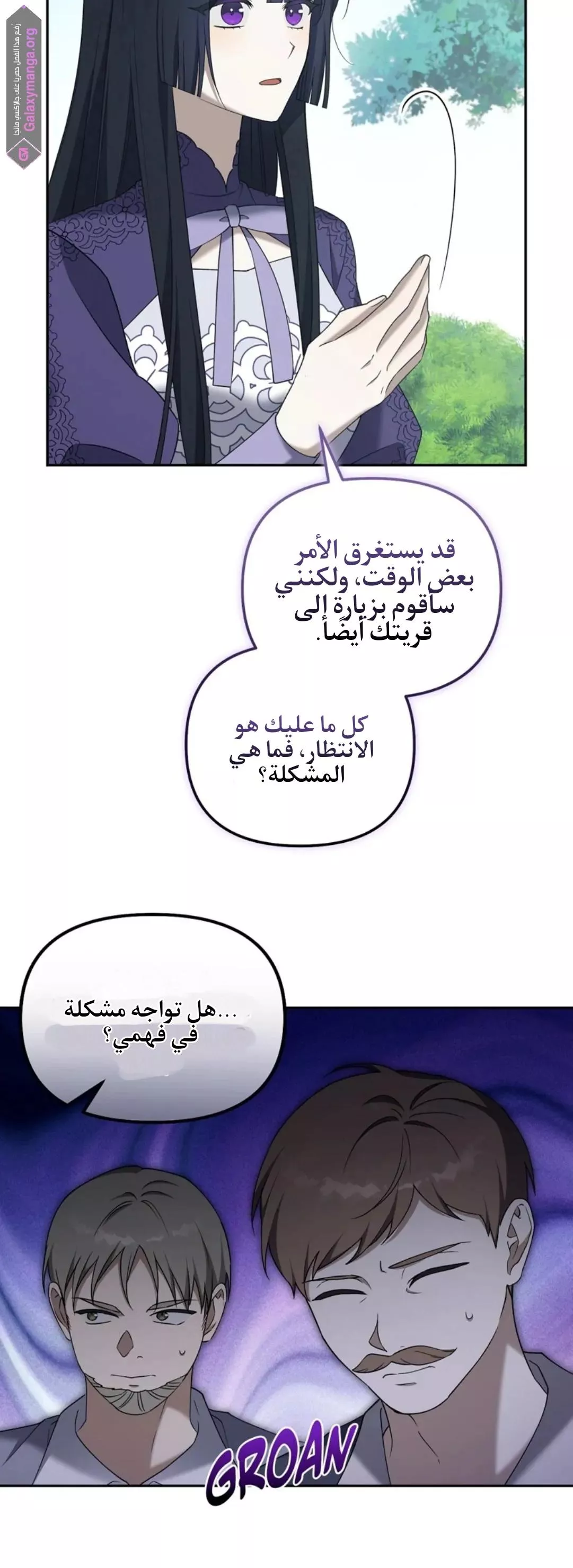 الصفحة 25