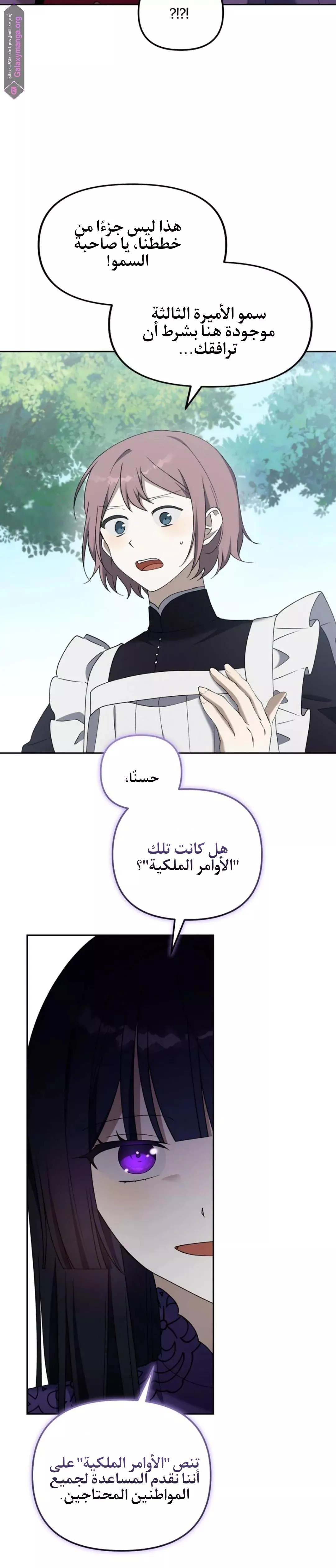 الصفحة 31