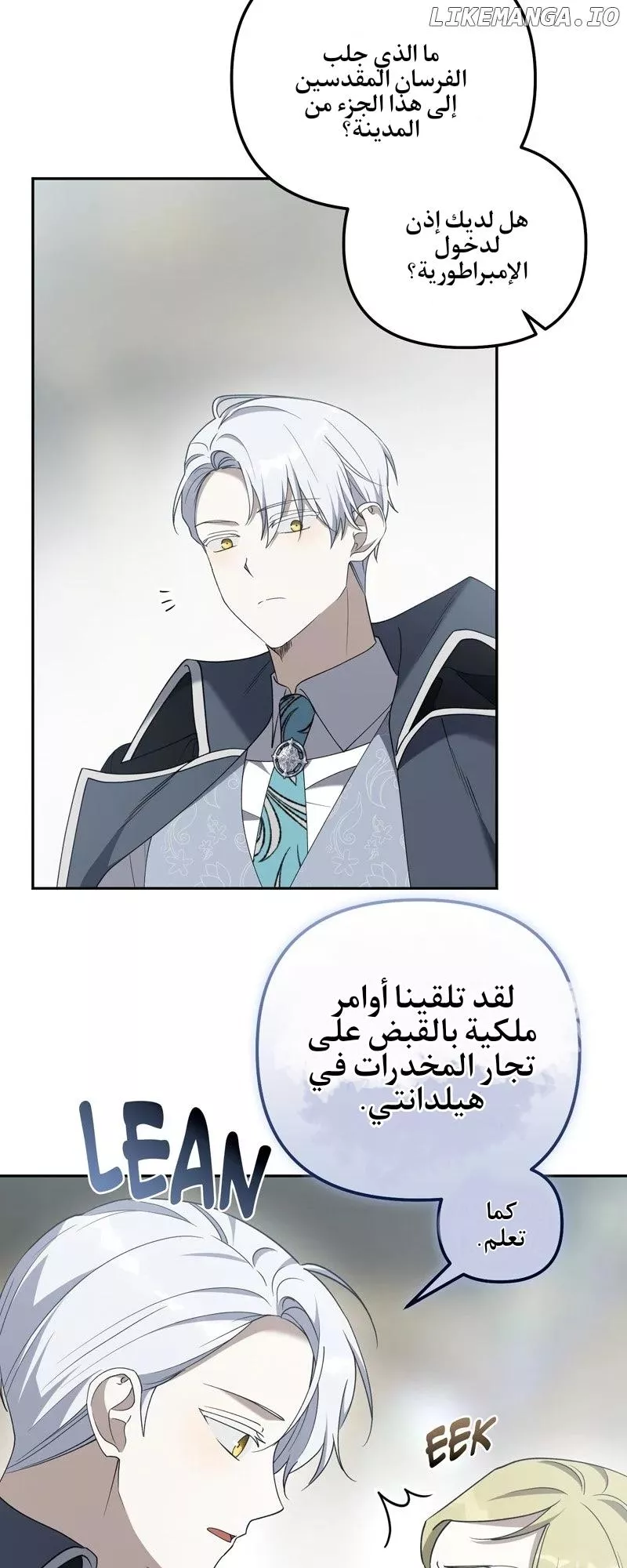 الصفحة 11