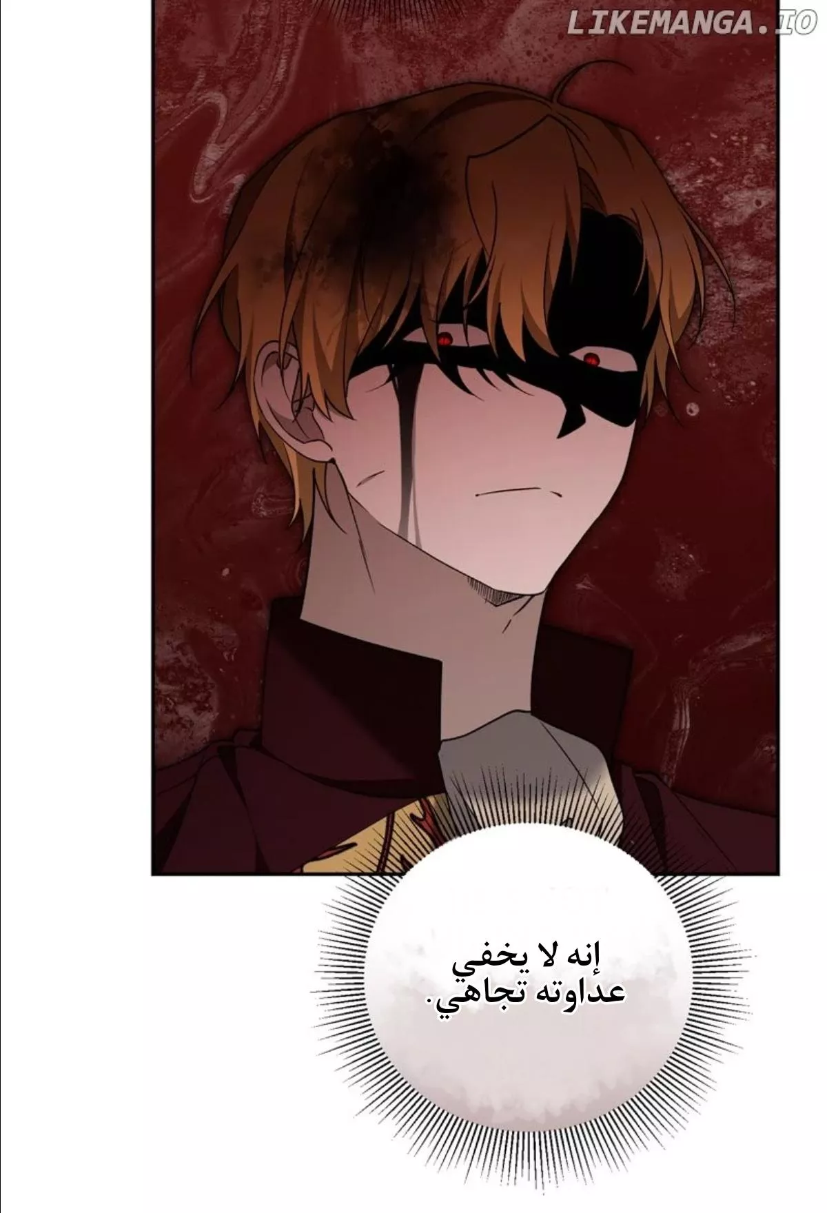 الصفحة 43